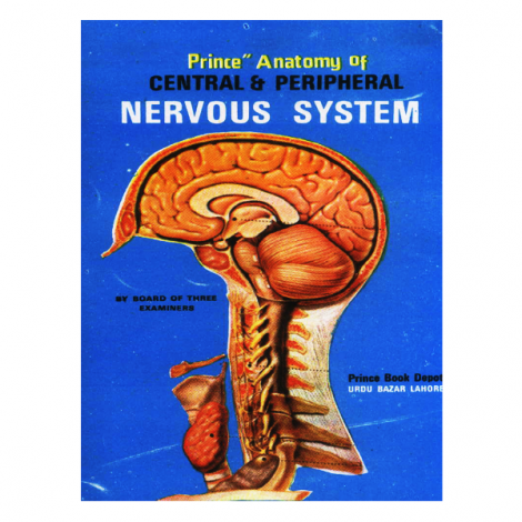 Prince Anatomy of Central & Peripheral Nervous System (C.N.S)