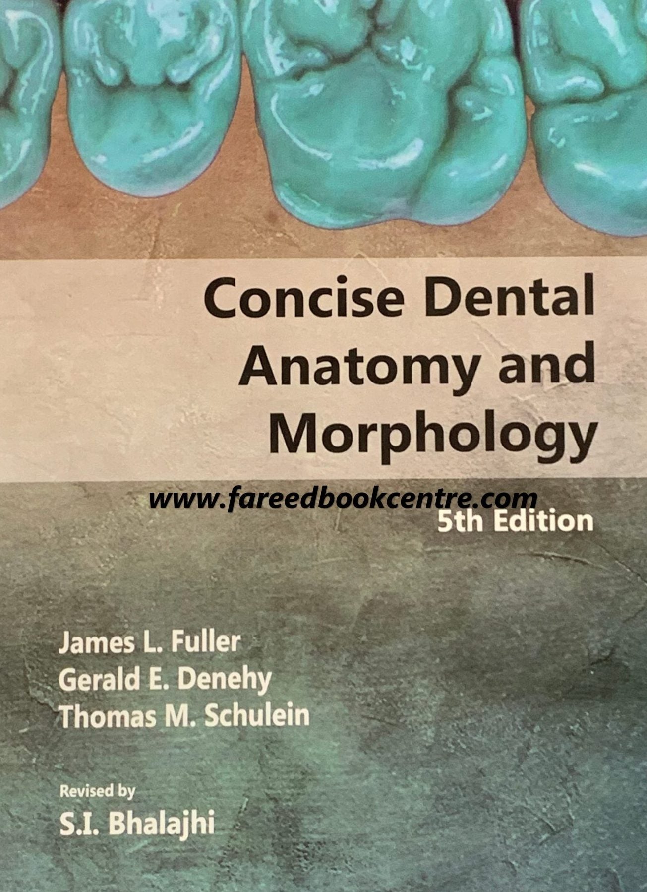 Concise Dental Anatomy And Morphology - Fuller Anatomy tooth morpholog ...
